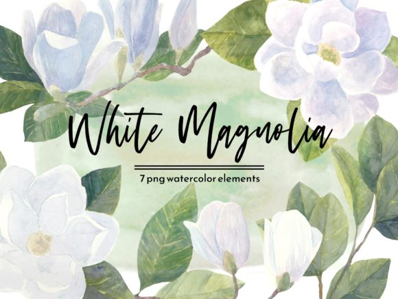 Download White Magnolia Watercolor Floral Set - White Collection