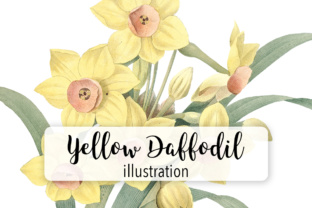 Download Yellow Daffodil Watercolor Flower - Watercolor flower Collection
