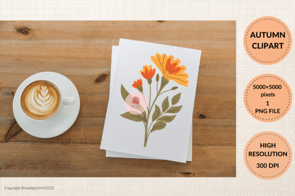 Download About Autumn Flower PNG Graphic 10 - Autumn flower png Collection