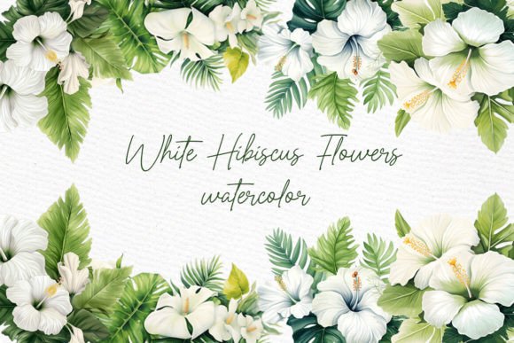 Download Watercolor Hibiscus Clipart White Flower - White Collection