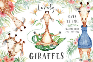 Download Lovely Giraffes Watercolor Illustration - Giraffes watercolor Collection
