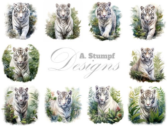 Download White Tiger Watercolor Animal Clipart - White Collection